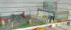 airport2.jpg (23850 bytes)